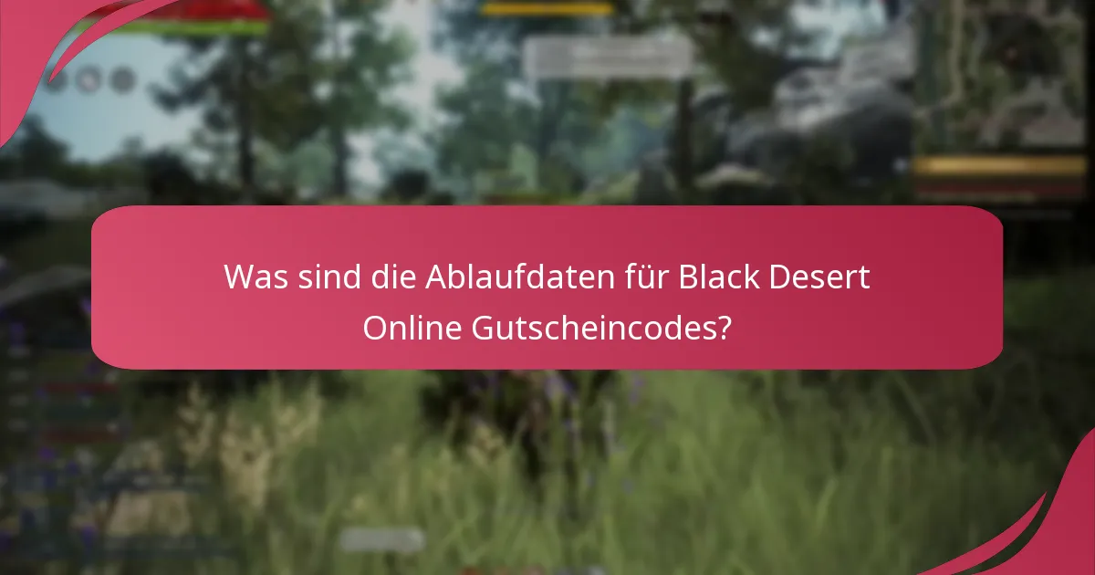 Auf welche Itemtypen können Black Desert Online Gutscheincodes angewendet werden?