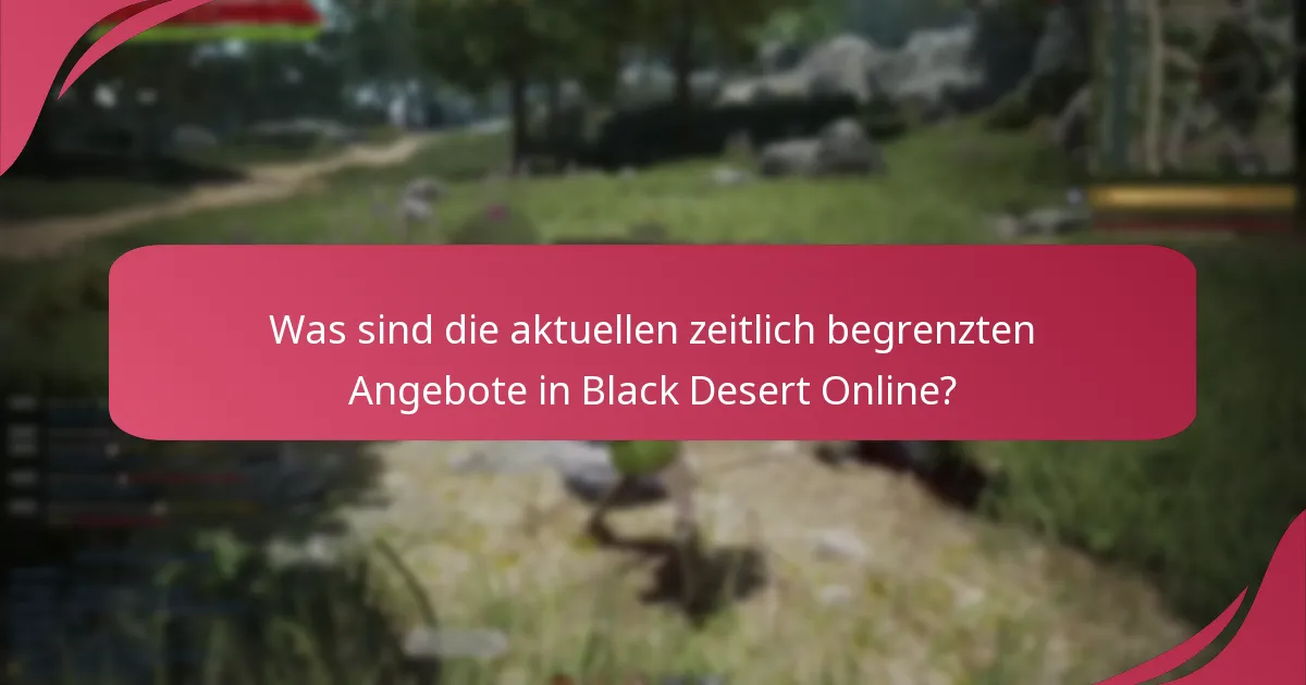 Welche Werbeaktionen sind in Black Desert Online verfügbar?