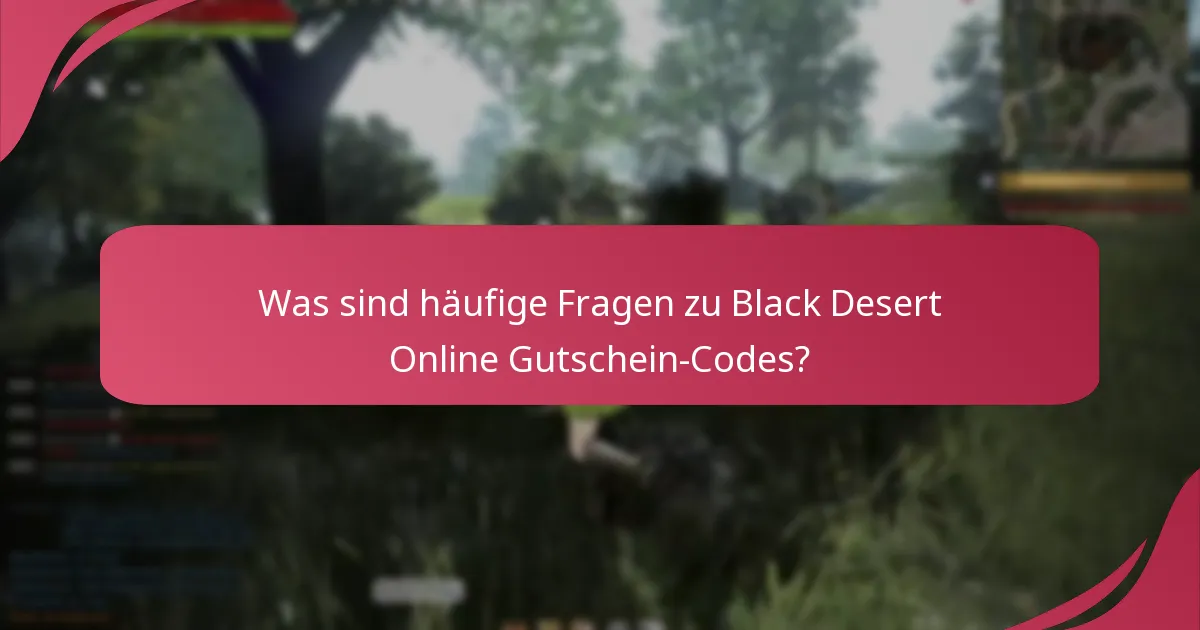 Wie kann ich Black Desert Online Gutschein-Codes verwenden?