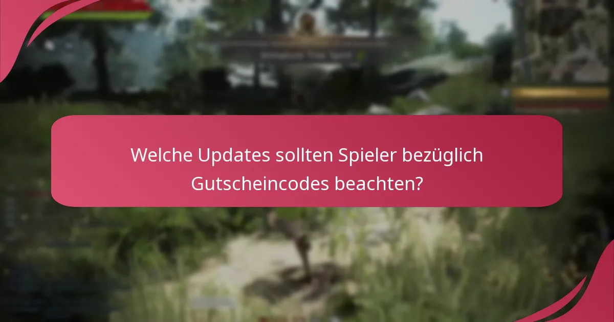 Wie können Spieler Gutscheincodes in Black Desert Online einlösen?
