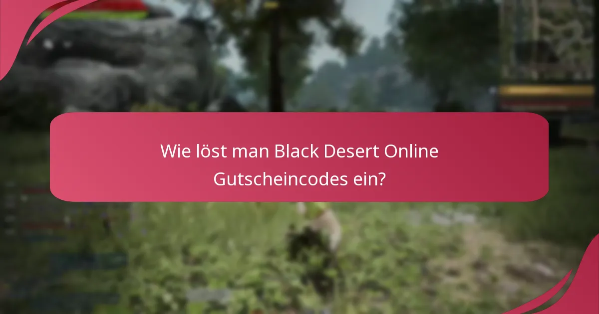 Auf welche Gegenstände können Black Desert Online Gutscheincodes angewendet werden?